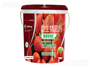 ��ݮ���÷�-��¡���B