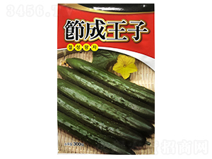 ��������-�S�ϷN��-ɽ��ʢ�N��