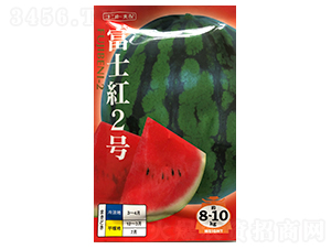 富士紅二號-西瓜種子-山田盛種苗