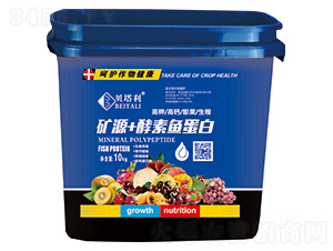 �VԴ+�����~����-ؐ����-����v�x