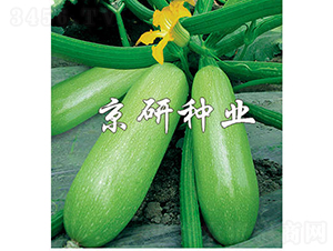 ����12̖-�����J�N��-���зN�I