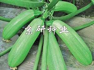 ���22̖-�����J�N��-���зN�I