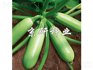 ����-�����J�N��-���зN�I