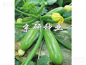 ����CRV3-3-�����J�N��-���зN�I