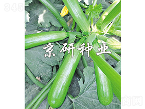 ����CRV4-2-�����J�N��-���зN�I