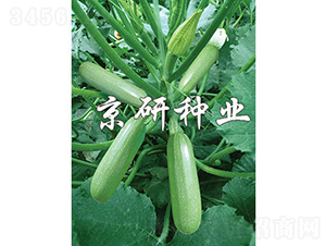 ����33-�����J�N��-���зN�I