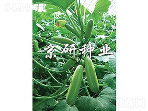 ����36-�����J�N��-���зN�I