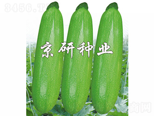 ����37-�����J�N��-���зN�I