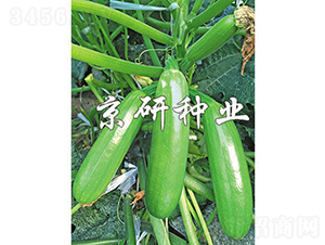 ����42̖-�����J�N��-���зN�I