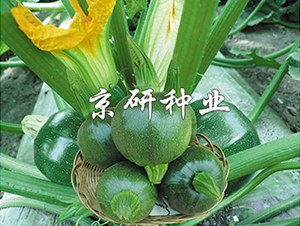 ����2̖-�����J�N��-���зN�I