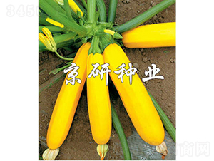 ���㽶-�����J�N��-���зN�I