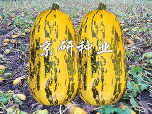 �������S3̖-�����J�N��-���зN�I