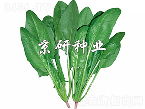 ���s10̖-���˷N��-���зN�I