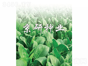 ����1̖-���˷N��-���зN�I