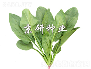 ����186-���˷N��-���зN�I