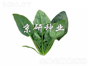 ����700-���˷N��-���зN�I