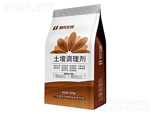 �����{�턩-Ҽ������