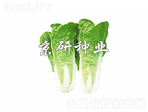 ���п��4̖-�ײ˷N��-���зN�I