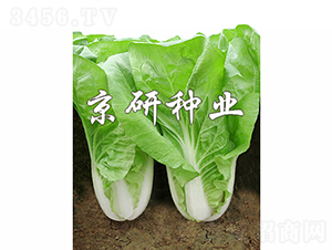 ���п��5̖-�ײ˷N��-���зN�I