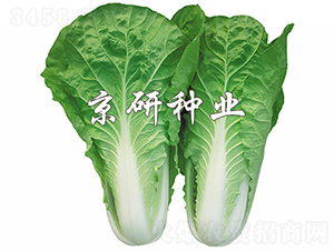 ���п��6̖-�ײ˷N��-���зN�I