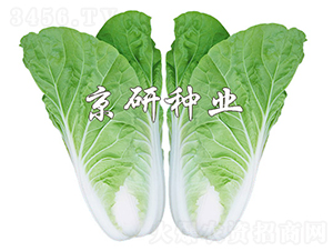 ���п��8̖-�ײ˷N��-���зN�I