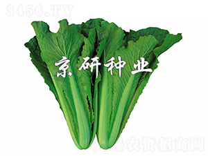 �G��2̖-�ײ˷N��-���зN�I