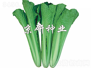 �ļ����1̖-�ײ˷N��-���зN�I