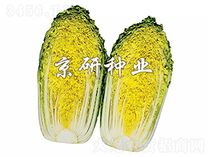 ������2̖-�ײ˷N��-���зN�I