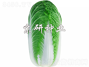 ������3̖-�ײ˷N��-���зN�I