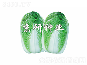 ������4̖-�ײ˷N��-���зN�I