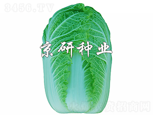 ������5̖-�ײ˷N��-���зN�I