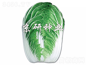 ������2̖-�ײ˷N��-���зN�I