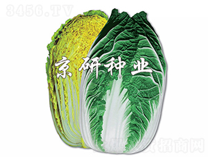 �����S-�ײ˷N��-���зN�I