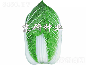 �����S2̖-�ײ˷N��-���зN�I