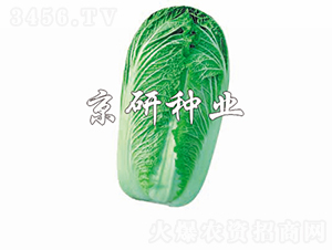 CR������3̖-�ײ˷N��-���зN�I