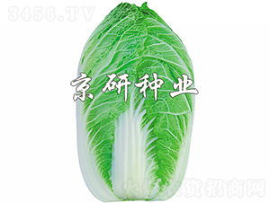 ����CR2-�ײ˷N��-���зN�I