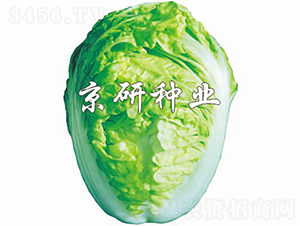 ����2̖-�ײ˷N��-���зN�I