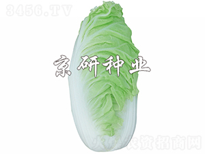 ����6̖-�ײ˷N��-���зN�I