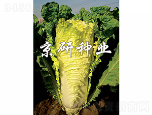 ������56̖-�ײ˷N��-���зN�I