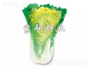 С�s56̖-�ײ˷N��-���зN�I