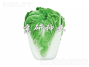 ����14-19-�ײ˷N��-���зN�I