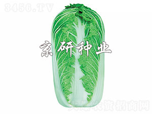 ����61̖-�ײ˷N��-���зN�I