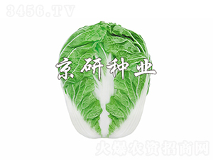 ����602-�ײ˷N��-���зN�I