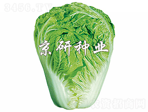 С�s60̖-�ײ˷N��-���зN�I