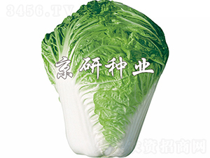 С�s61̖-�ײ˷N��-���зN�I