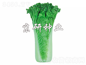 ����55̖-�ײ˷N��-���зN�I