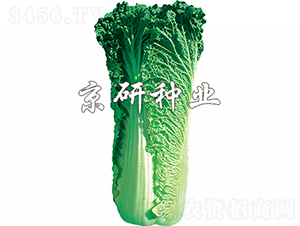 ����60̖-�ײ˷N��-���зN�I