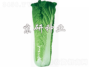 ����65̖-�ײ˷N��-���зN�I