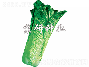 ����70̖-�ײ˷N��-���зN�I