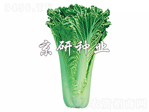 ����75̖-�ײ˷N��-���зN�I